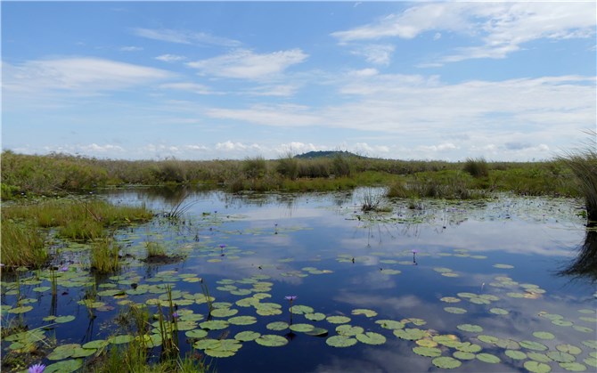 Mabamba Wetlands View 1