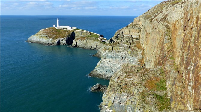 South Stack cliffs Oct 1