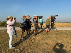 Change of habitat brings more birds, Thailand 23 January 2026